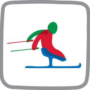 Para Nordic