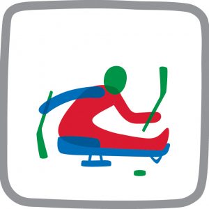 Sledge Hockey